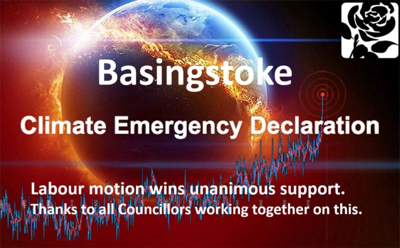 Basingstoke Climate Change Emergency image